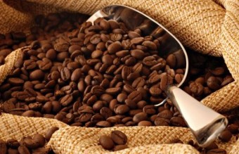 Kenikmatan Biji Kopi Arabica yang Lembut dan Aromatik