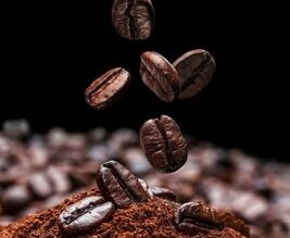 Kopi Instan vs Kopi Fresh: Apa Perbedaannya?