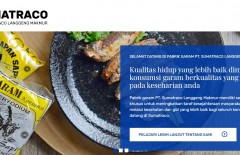 memperkenalkan-perusahaan-garam-terbesar-tertua-di-indonesia-sumatraco-melalui-web-mark-design-web-design-jakarta-surabaya - Web design surabaya
