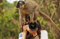 perbedaan-fotografer-dan-fotografi - Web design surabaya