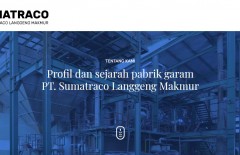pt-webmark-design-web-design-jakarta-web-design-surabaya - Web design surabaya