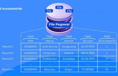 database-adalah-kumpulan-data-yang-dapat-dikelola-dan-diakses-dengan-mudah - Web design surabaya