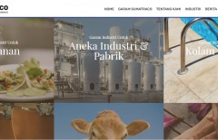 introducing-the-largest-oldest-salt-company-in-indonesia-sumatraco-through-the-web-mark-design-web-design-jakarta-surabaya - Web design surabaya