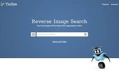 tineye-web - Web design surabaya