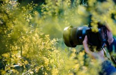 tips-untuk-kamu-yang-ingin-terjun-ke-dunia-fotografi - Web design surabaya