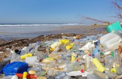 dampak-sampah-botol-plastik - Web design surabaya