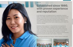 web-design-jakarta-for-daalderop-indonesia - Web design surabaya