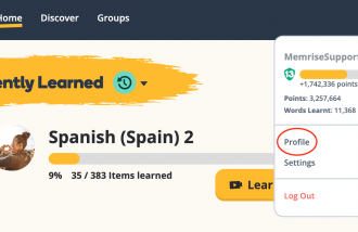 memrise-web - Web design surabaya