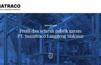 pt-webmark-design-web-design-jakarta-web-design-surabaya - Web design surabaya