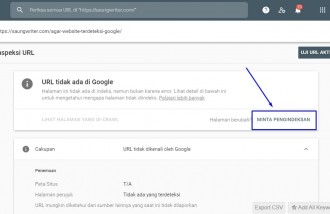 langkah-mudah-agar-website-terdeteksi-google-untuk-pemula - Web design surabaya