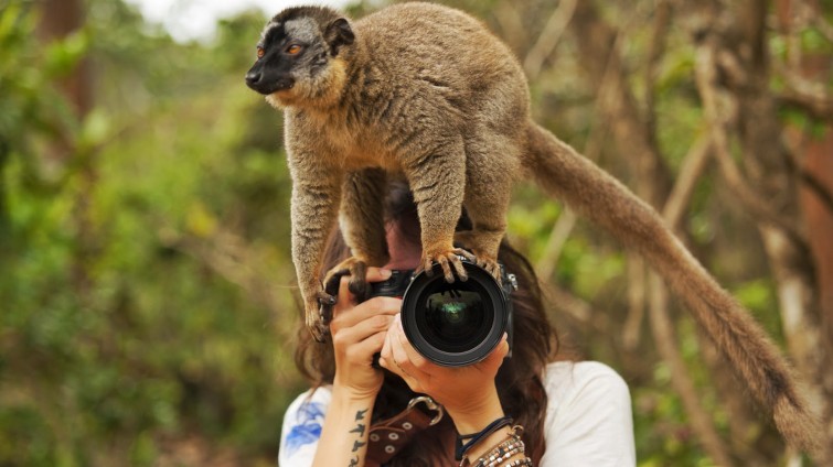 perbedaan-fotografer-dan-fotografi