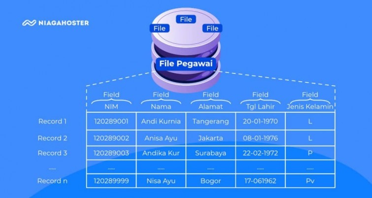 database-adalah-kumpulan-data-yang-dapat-dikelola-dan-diakses-dengan-mudah