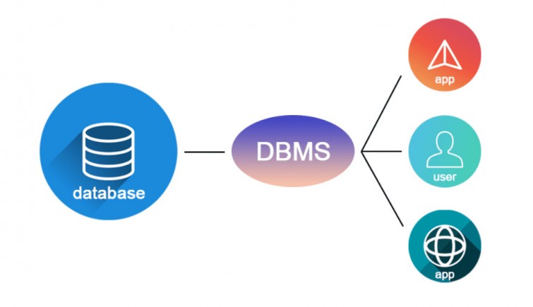 apa-itu-dbms-pengertian