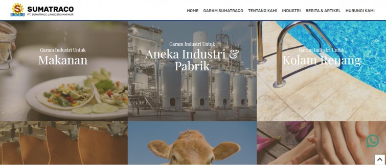 introducing-the-largest-oldest-salt-company-in-indonesia-sumatraco-through-the-web-mark-design-web-design-jakarta-surabaya