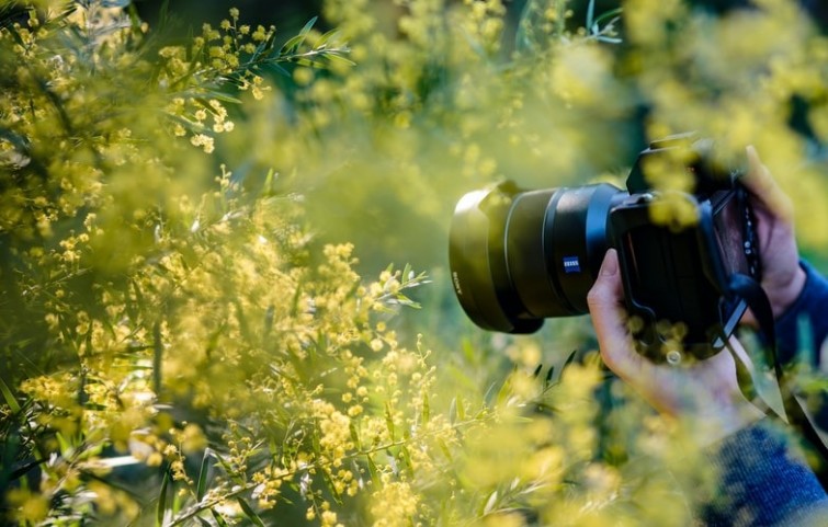 tips-untuk-kamu-yang-ingin-terjun-ke-dunia-fotografi