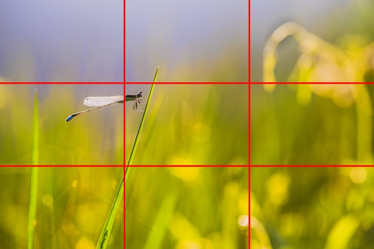 komposisi-rule-of-thirds-dalam-fotografi