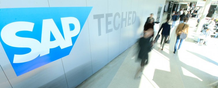 eclectic-consulting-indonesia-comparte-la-integracin-de-la-red-el-descubrimiento-y-la-compra-directa-de-sap-ariba