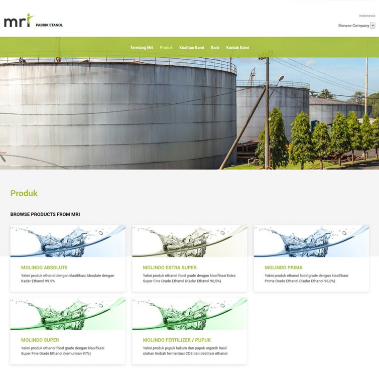 pt-molindo-raya-industrial-website-design-surabaya-jakarta