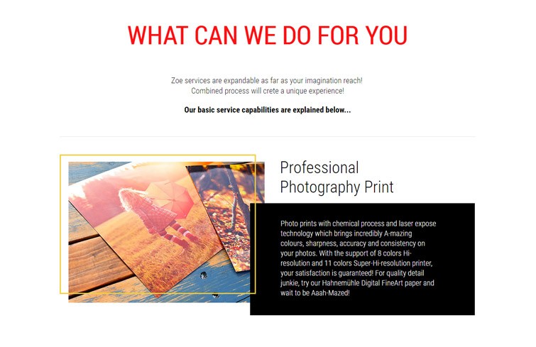 zoe-print-website-design-jakarta-surabaya